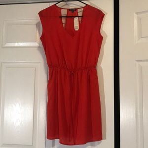 NWT Dress